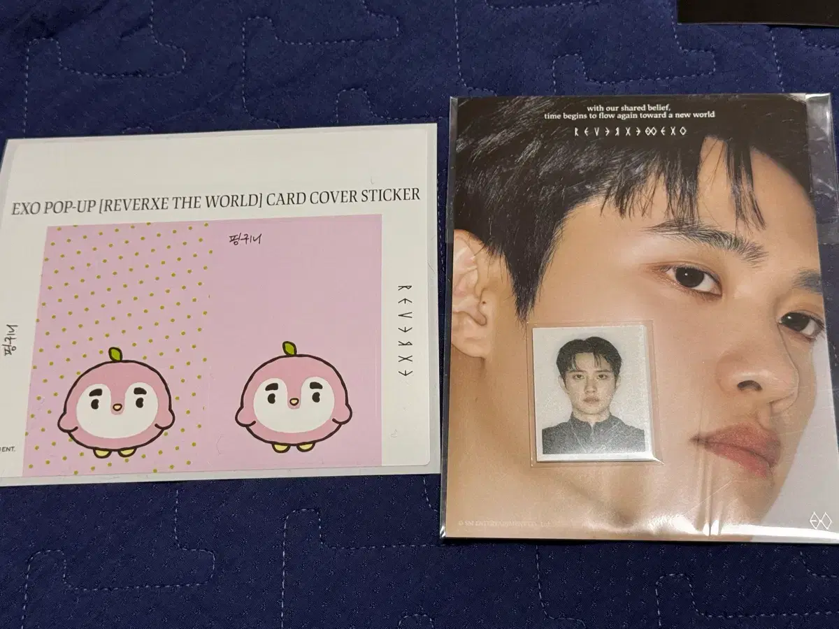 엑소 리버스 팝업 디오 도경수 카드스티커 아이디포토 | 브랜드 중고